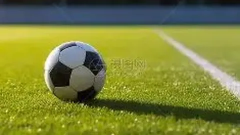 德甲昔日王者凯泽斯劳滕寻求破产新起航